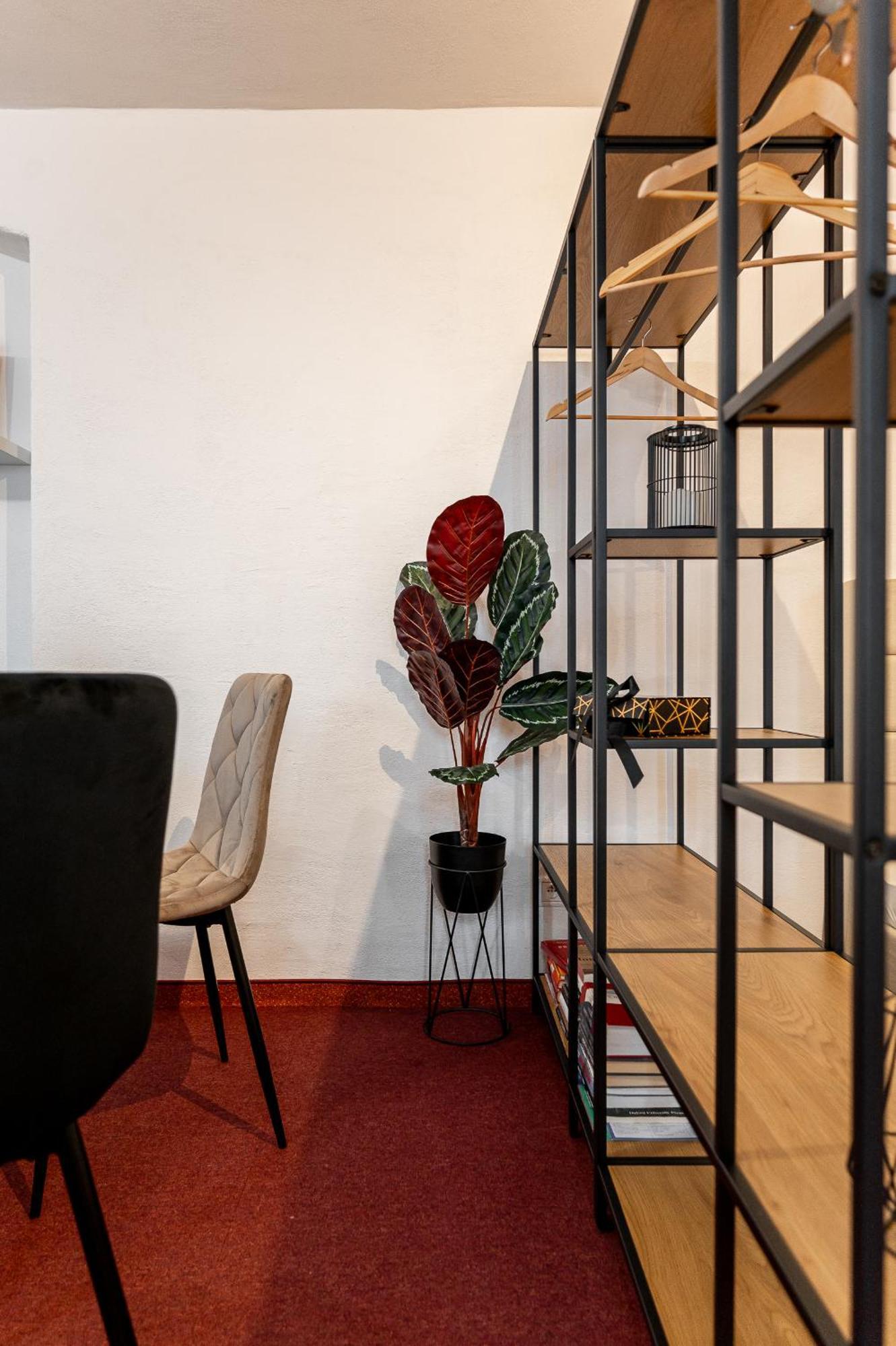 K1 Piatok Sobota Disco Cez Tyzden Tichy Apartman โกชิเซ ภายนอก รูปภาพ